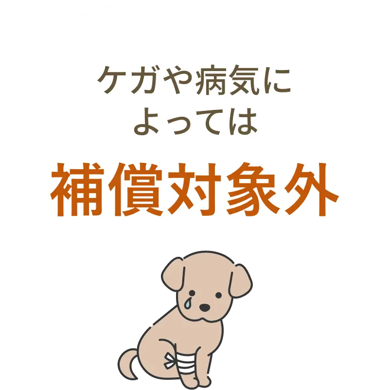 ケガや病気によっては補償対象外