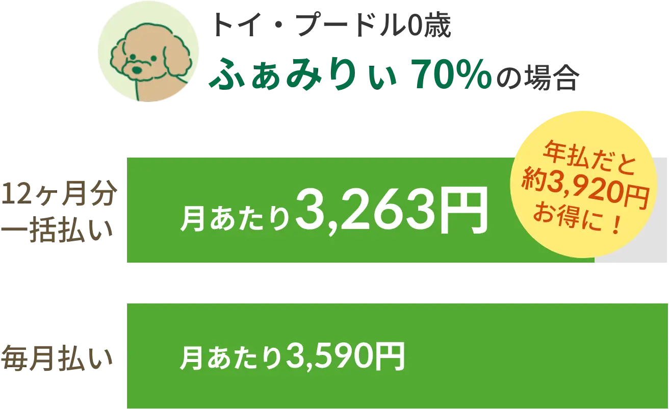 トイプードル0歳【ふぁみりぃ】の場合