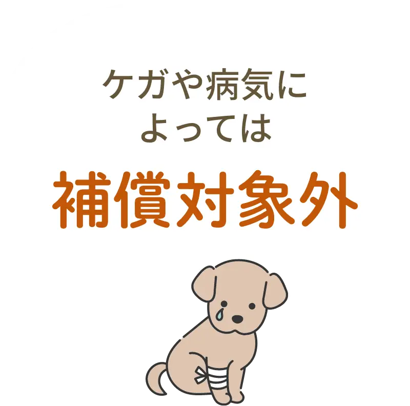 ケガや病気によっては補償対象外