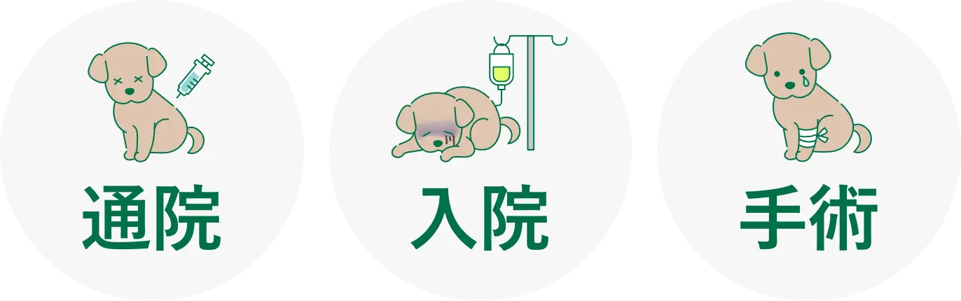 通院・入院・手術