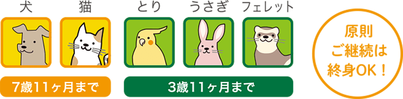 犬猫 7歳11ヶ月まで／とりうさぎフェレット 3歳11ヶ月まで／原則ご継続は終身OK！