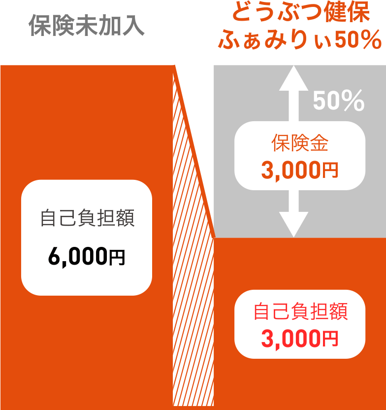 保険未加入 自己負担額6,000円／どうぶつ健保ふぁみりぃ50％ 保険金3,000円 自己負担額3,000円