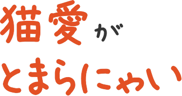 猫愛がとまらにゃい