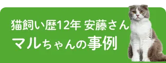 猫飼い歴12年 安藤さん マルちゃんの事例