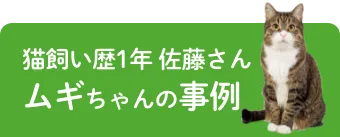 猫飼い歴1年 佐藤さん ムギちゃんの事例