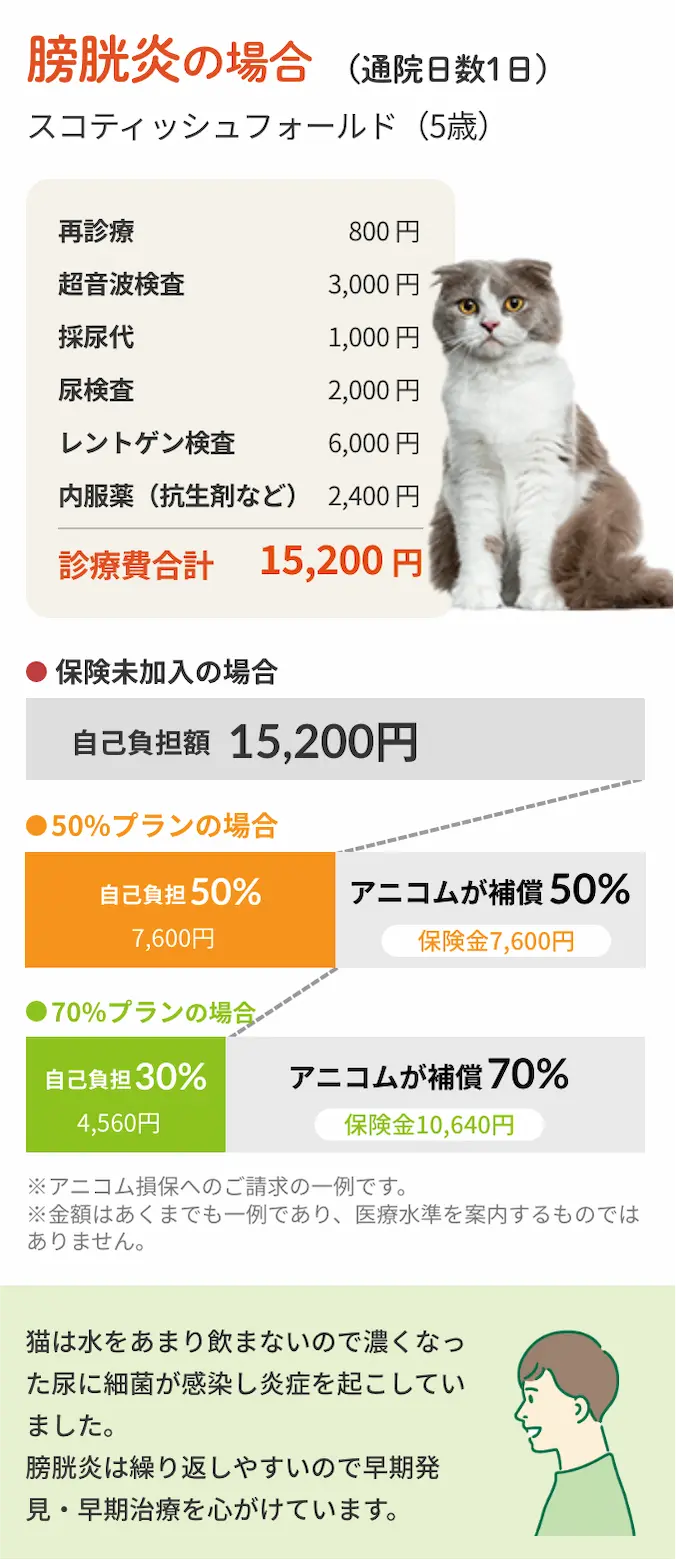 猫飼い歴12年 安藤さん マルちゃんの事例