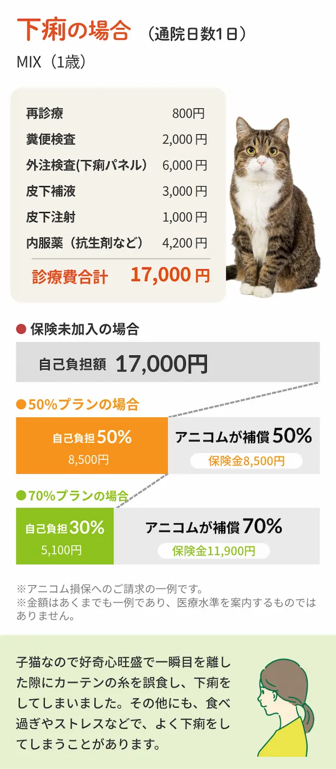 猫飼い歴1年 佐藤さん ムギちゃんの事例