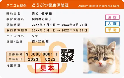 どうぶつ健康保険証