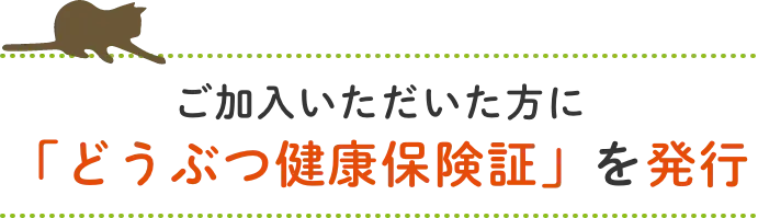 ご加入いただいた方に「どうぶつ健康保険証」を発行