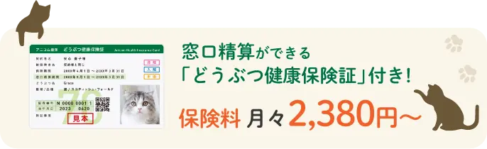 窓口精算ができるどうぶつ健康保険証付き！