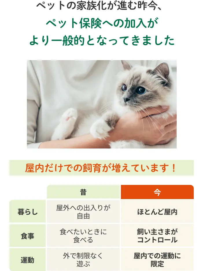 ペットの家族化が進む昨今、ペット保険への加入がより一般的となってきました