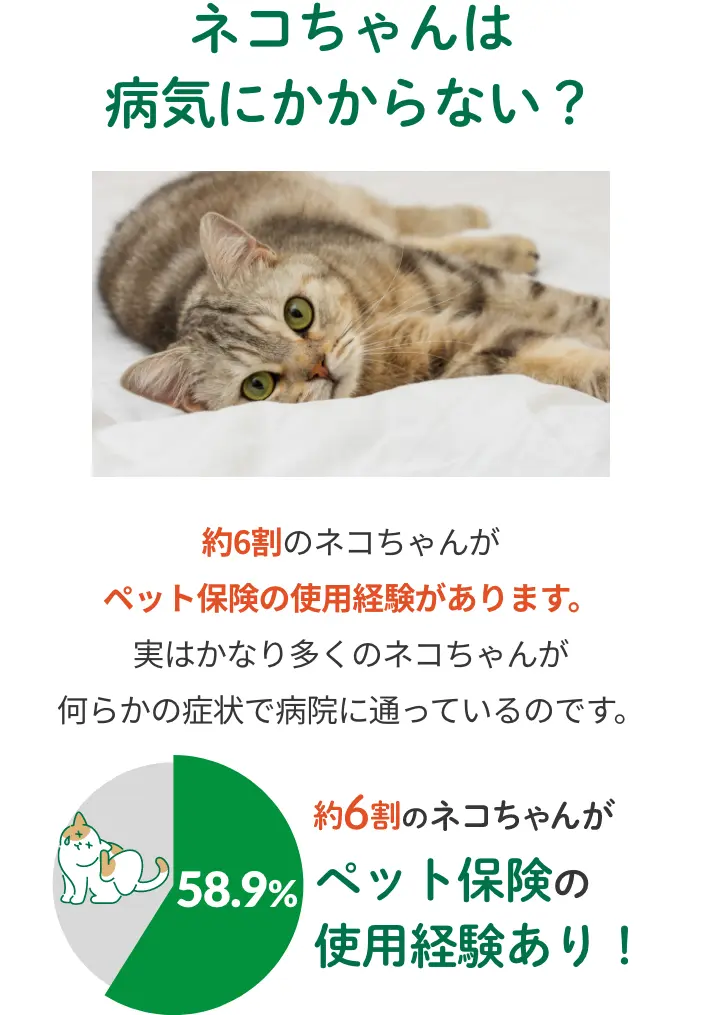 ネコちゃんは病気にかからない？