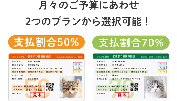 月々のご予算にあわせ2つのプランから選択可能！