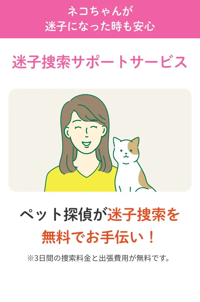 迷子捜索サポートサービス