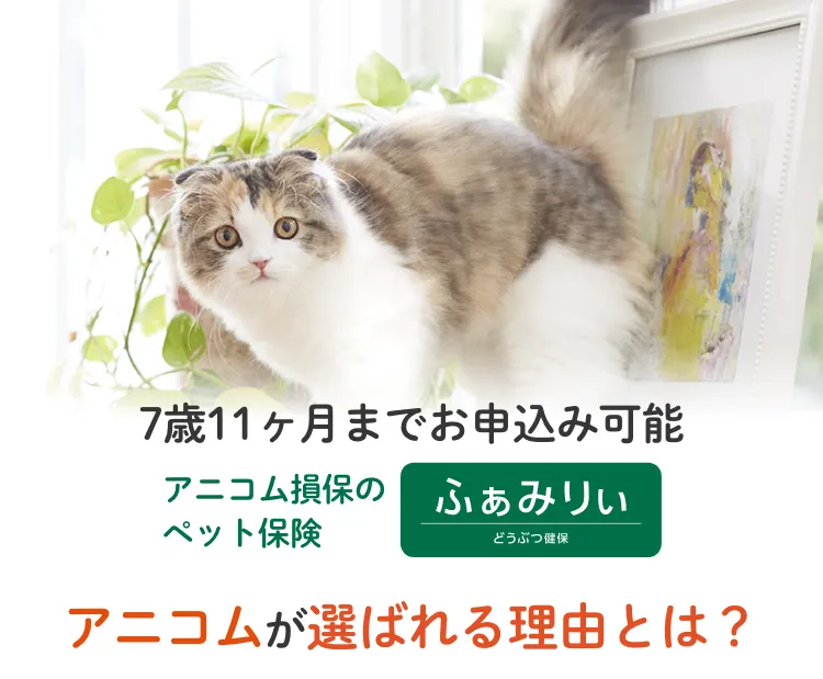 アニコムが選ばれる理由とは？