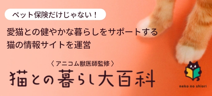 愛猫との健やかな暮らしをサポートする猫の情報サイトを運営「猫との暮らし大百科」