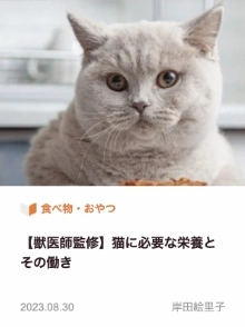 【獣医師監修】猫に必要な栄養とその働き
