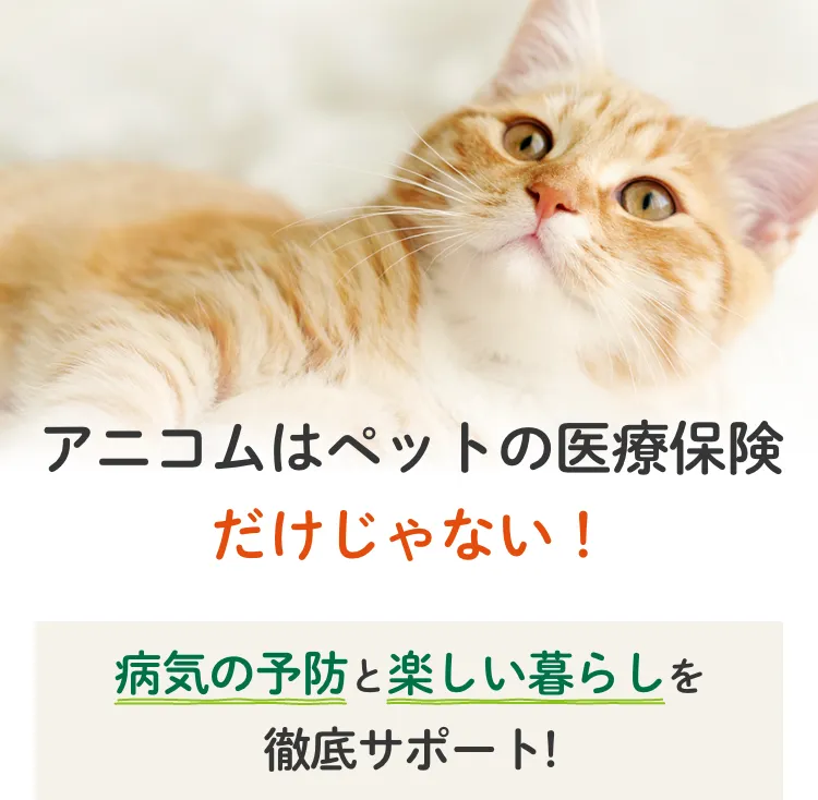 アニコムはペットの医療保険だけじゃない！