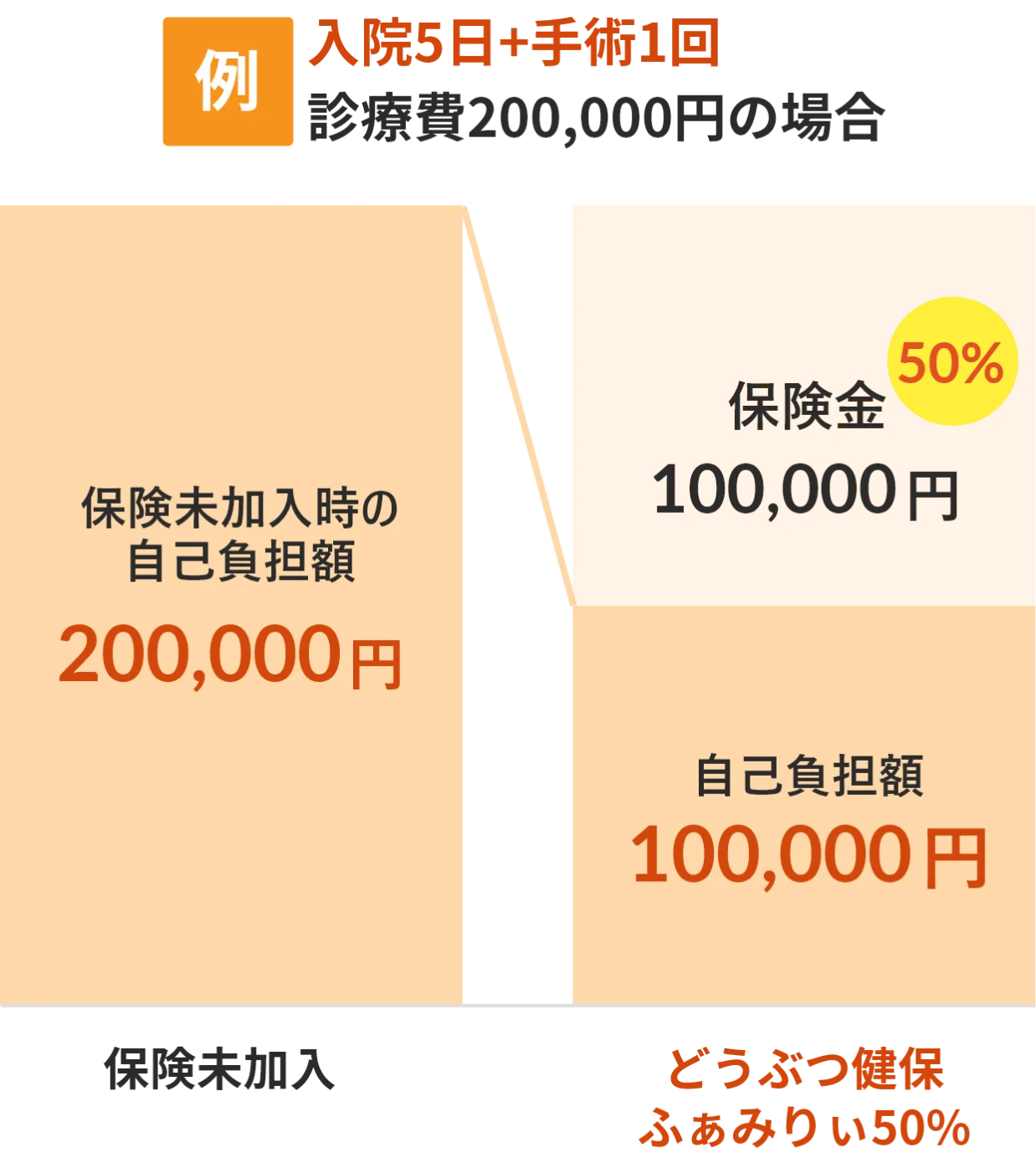 （例）入院5日+手術1回 診療費200,000円の場合