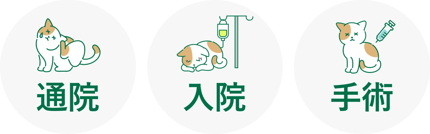 通院・入院・手術