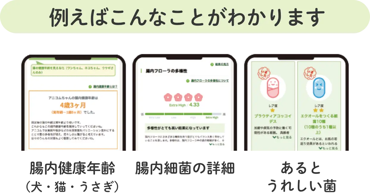 例えばこんなことがわかります（腸内健康年齢（犬・猫・うさぎ）／腸内細菌の詳細／あるとうれしい菌）