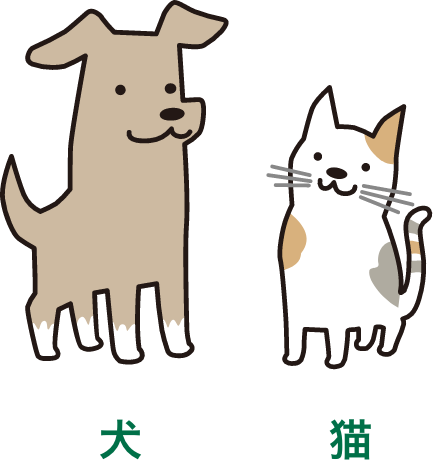 犬 猫