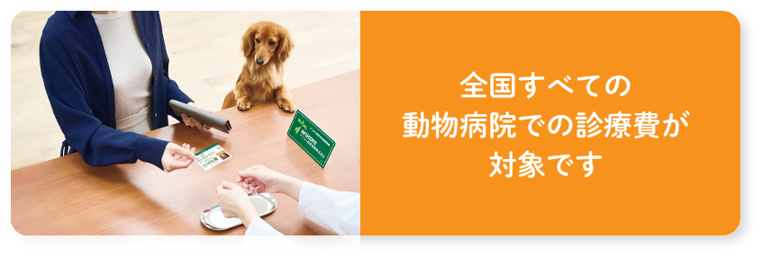 全国すべての動物病院での診療費が対象です