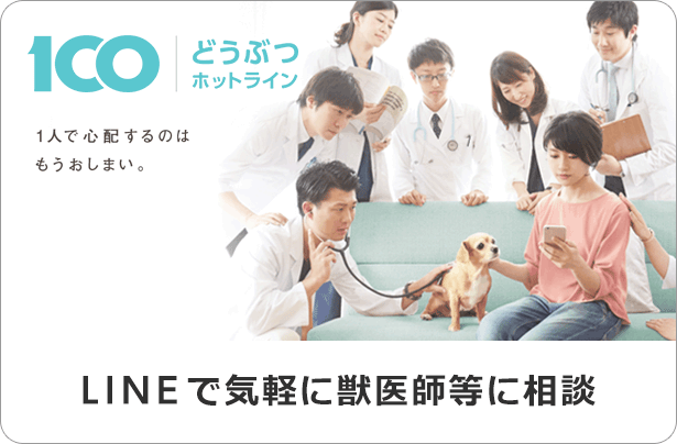 何かあったらLINEですぐに相談できる