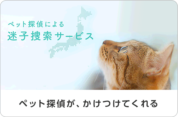 もしも、ペットが迷子になってもあんしん