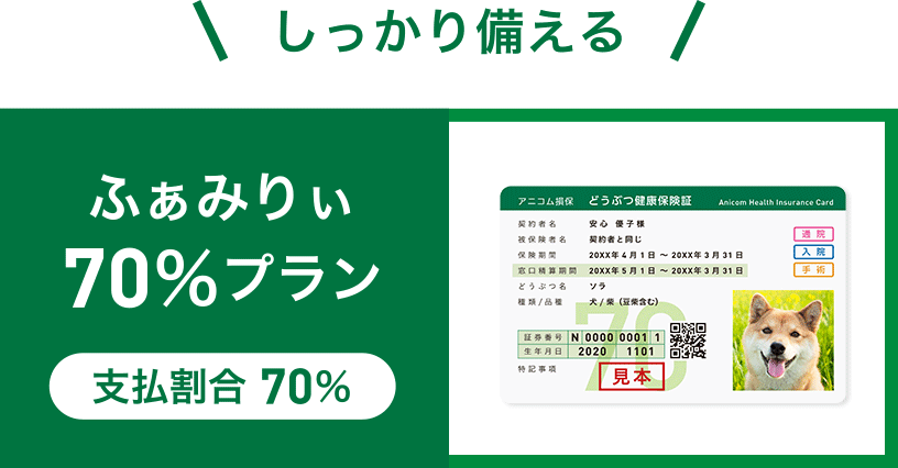 ふぁみりぃ70%プラン