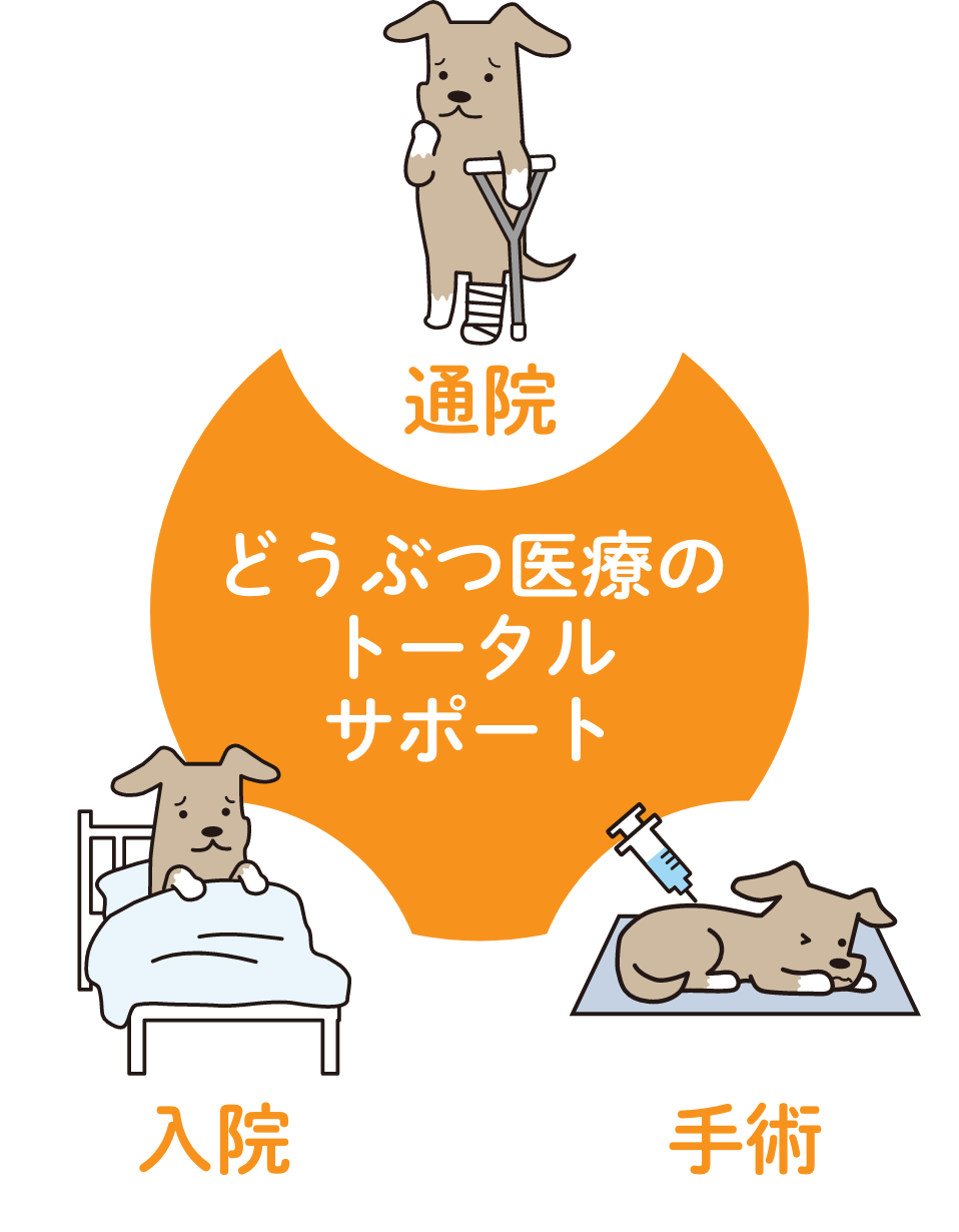 どうぶつ医療のトータルサポート