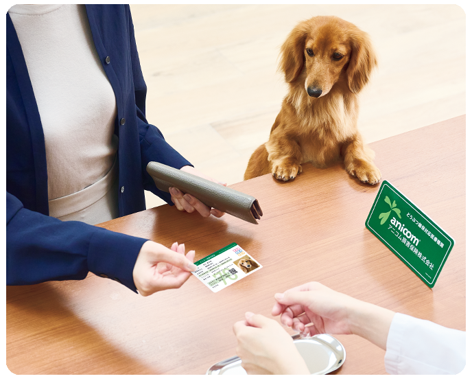 全国すべての動物病院での診療費が対象です