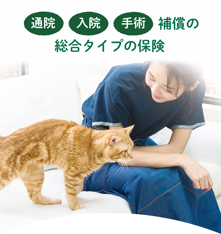 通院 入院 手術 補償の総合タイプの保険