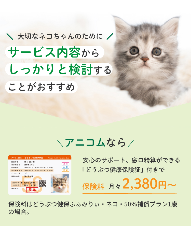 サービス内容からしっかりと検討することがおすすめ