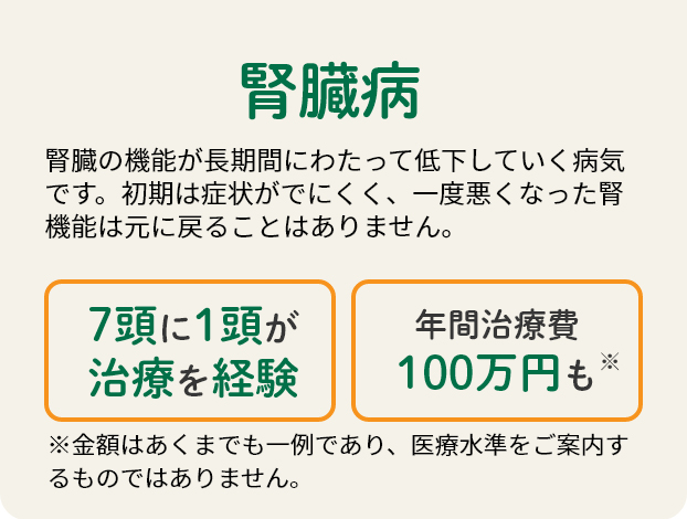 腎臓病