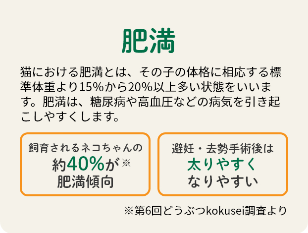 肥満
