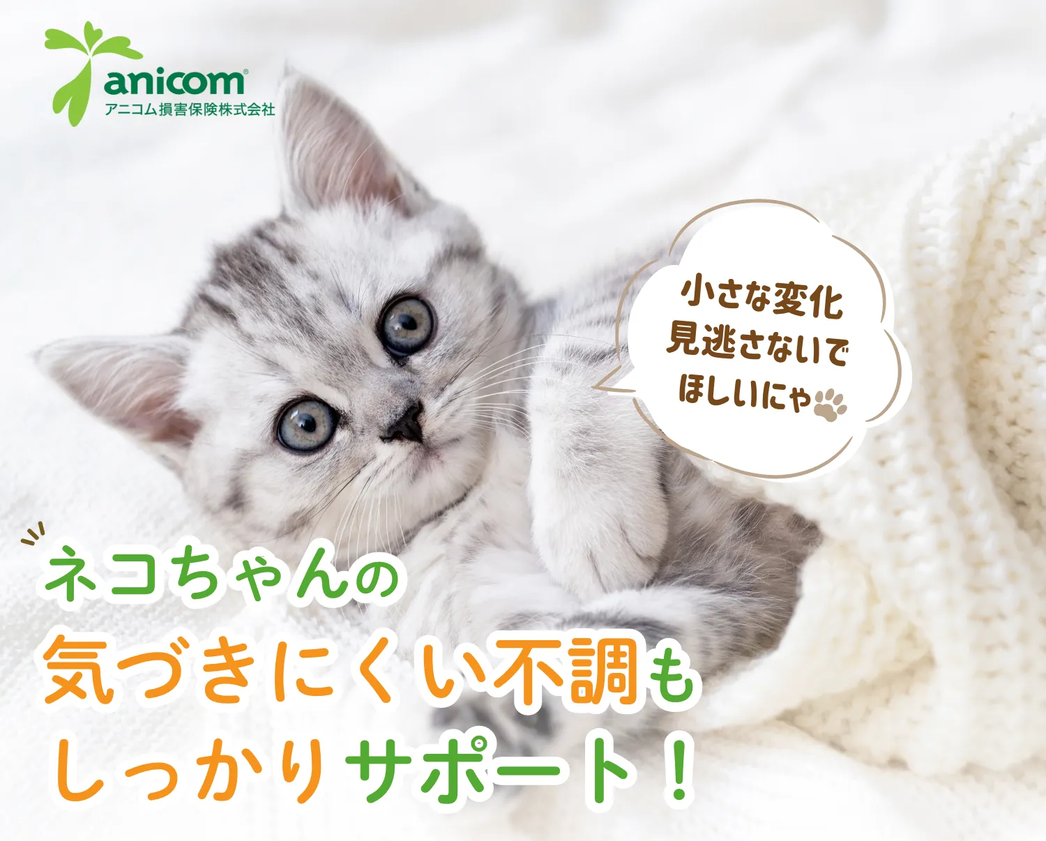 ネコちゃんの気づきにくい不調もしっかりサポート！