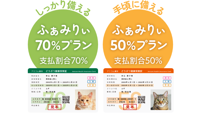2つのプランから選択可能！