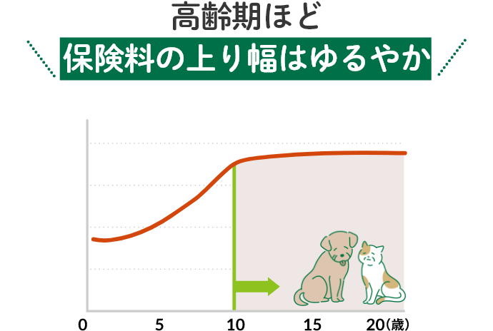 高齢期ほど保険料の上り幅はゆるやか