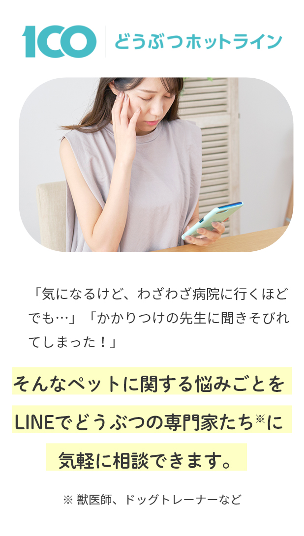 サービス