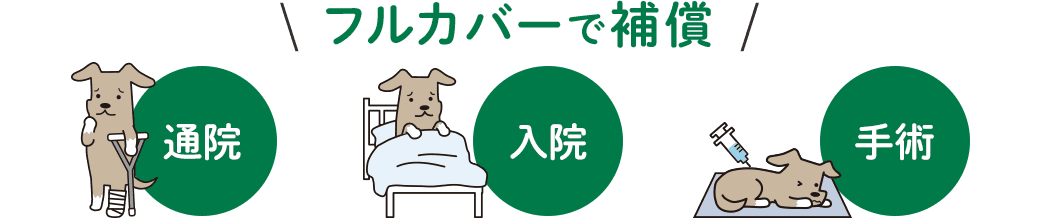 フルカバーで補償