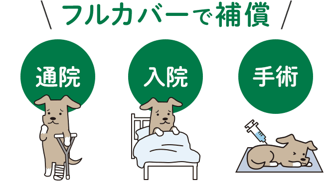 フルカバーで補償