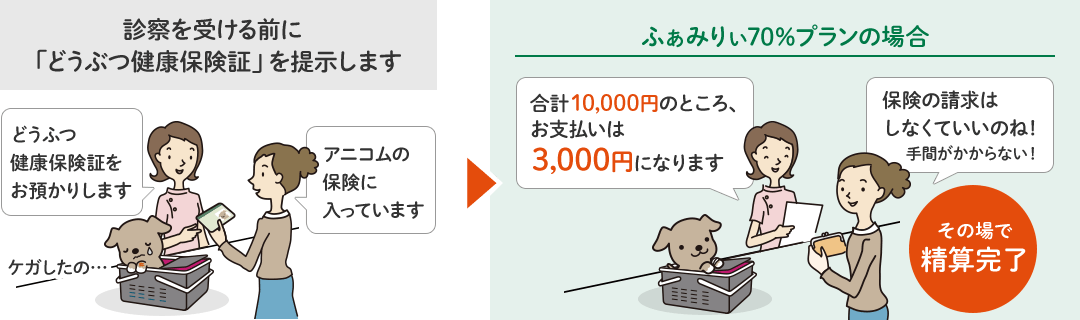 診察を受ける前に「どうぶつ健康保険証」を提示します