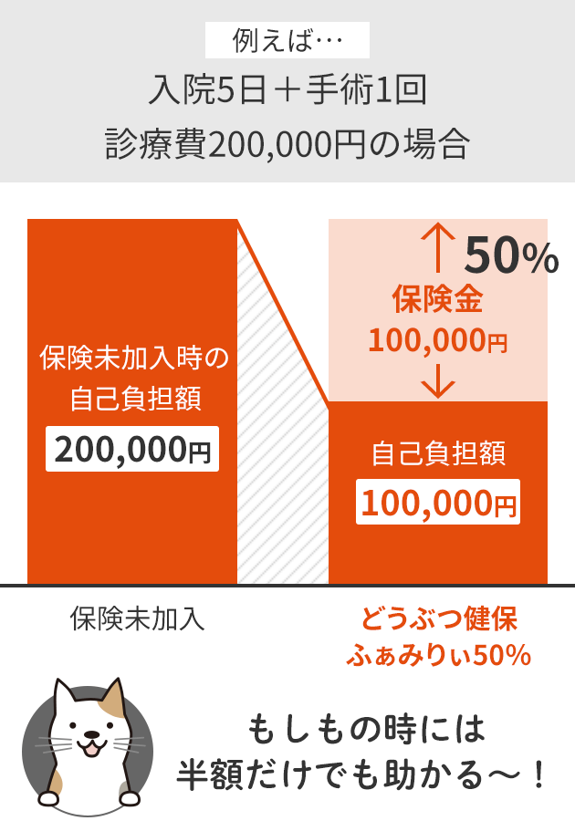 もしもの時には半額だけでも助かる～！