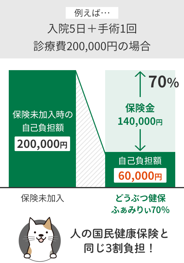 人の国民健康保険と同じ3割負担！