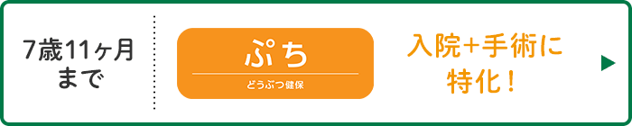 どうぶつ健保ぷち
