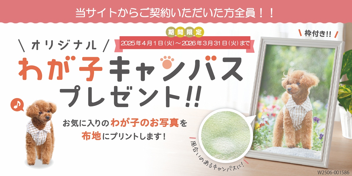 当サイトからご契約いただいた方全員！！オリジナル　わが子キャンバスプレゼント！！