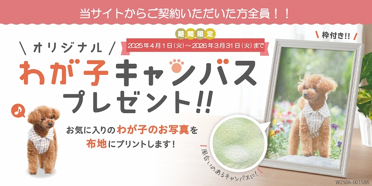 当サイトからご契約いただいた方全員！！オリジナル　わが子キャンバスプレゼント！！