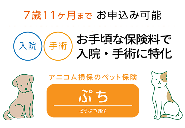 7歳11か月までお申込み可能 どうぶつ健保ぷち