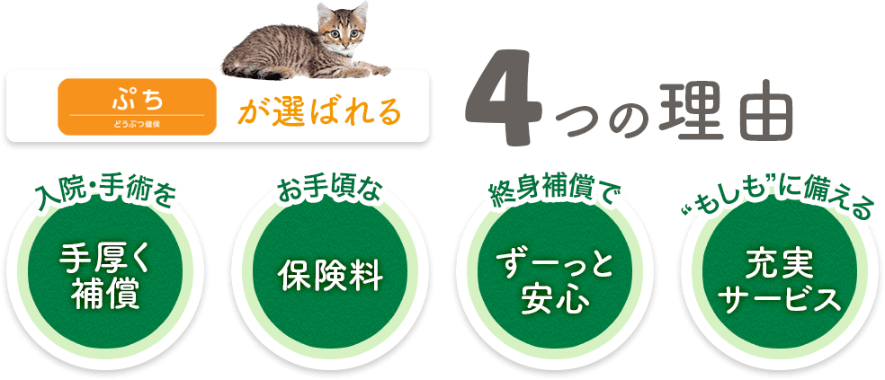 アニコム損保のペット保険　どうぶつ健保ぷちが選ばれる4つの理由